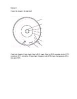 Paraugs 'The Exercises', 2.