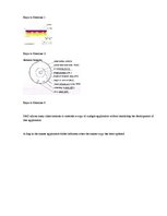 Paraugs 'The Exercises', 7.