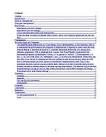 Referāts 'Osteoporosis', 2.