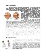 Referāts 'Osteoporosis', 4.