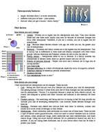 Referāts 'Osteoporosis', 5.