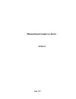 Referāts 'Mezopotāmijas tempļos un dārzos', 1.