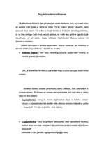 Referāts 'Indiešu izšuvumi', 3.