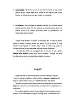 Referāts 'Indiešu izšuvumi', 4.