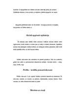 Referāts 'Indiešu izšuvumi', 5.