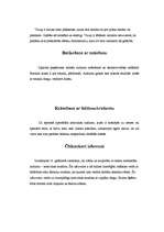 Referāts 'Indiešu izšuvumi', 6.