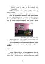 Prakses atskaite 'Profesionālās prakses pārskats', 9.