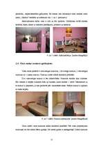 Prakses atskaite 'Profesionālās prakses pārskats', 10.