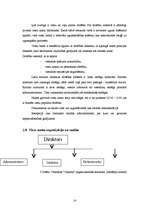 Prakses atskaite 'Profesionālās prakses pārskats', 14.