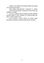 Prakses atskaite 'Profesionālās prakses pārskats', 15.