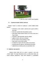 Prakses atskaite 'Profesionālās prakses pārskats', 17.