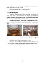 Prakses atskaite 'Profesionālās prakses pārskats', 18.