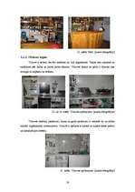 Prakses atskaite 'Profesionālās prakses pārskats', 19.