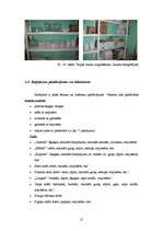 Prakses atskaite 'Profesionālās prakses pārskats', 21.