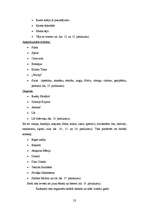 Prakses atskaite 'Profesionālās prakses pārskats', 23.