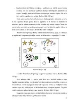 Diplomdarbs 'Uzņēmuma SIA "iVF Riga" darbības, stratēģijas analīze', 11.