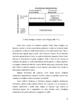 Diplomdarbs 'Uzņēmuma SIA "iVF Riga" darbības, stratēģijas analīze', 15.