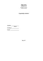 Paraugs 'Organizāciju struktūras', 1.