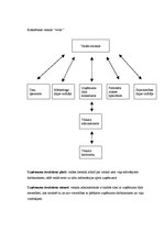 Paraugs 'Organizāciju struktūras', 2.