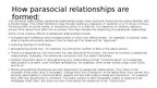Prezentācija 'Parasocial relationships', 3.