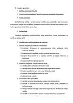 Paraugs 'Zemākā līmeņa vadītāja amata apraksts', 2.