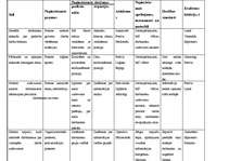 Paraugs 'Zemākā līmeņa vadītāja amata apraksts', 5.