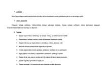 Paraugs 'Zemākā līmeņa vadītāja amata apraksts', 6.