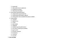 Paraugs 'Zemākā līmeņa vadītāja amata apraksts', 8.