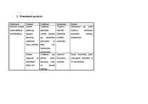 Paraugs 'Zemākā līmeņa vadītāja amata apraksts', 11.