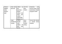 Paraugs 'Zemākā līmeņa vadītāja amata apraksts', 12.