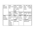 Paraugs 'Zemākā līmeņa vadītāja amata apraksts', 13.