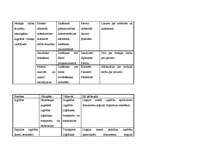 Paraugs 'Zemākā līmeņa vadītāja amata apraksts', 14.