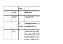 Paraugs 'Zemākā līmeņa vadītāja amata apraksts', 18.