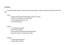 Paraugs 'Zemākā līmeņa vadītāja amata apraksts', 20.