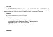 Paraugs 'Zemākā līmeņa vadītāja amata apraksts', 22.