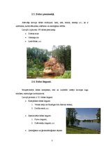 Referāts 'Bioloģiskās daudzveidības saglabāšana Latvijā un Latgalē', 8.