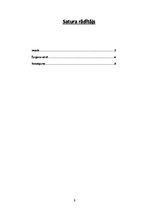 Referāts 'Žargona vārdnīca', 2.