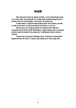 Referāts 'Žargona vārdnīca', 3.