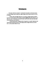 Referāts 'Žargona vārdnīca', 8.