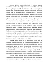 Referāts 'Īpašuma reģistrācija Zemesgrāmatā', 13.