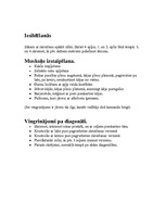 Konspekts 'Sporta stundas vadīšana', 2.