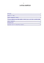 Referāts 'Lēmumi un to pieņemšanas process', 2.