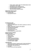 Konspekts 'Kvalitatīvās pētījumu metodes socioloģijā', 12.