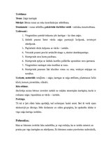 Prakses atskaite 'Kvalifikācijas prakse pirmsskolas izglītības iestādē', 5.