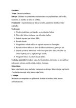 Prakses atskaite 'Kvalifikācijas prakse pirmsskolas izglītības iestādē', 7.