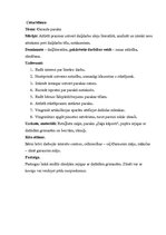 Prakses atskaite 'Kvalifikācijas prakse pirmsskolas izglītības iestādē', 9.