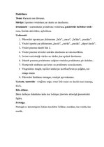 Prakses atskaite 'Kvalifikācijas prakse pirmsskolas izglītības iestādē', 11.