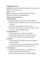 Prakses atskaite 'Kvalifikācijas prakse pirmsskolas izglītības iestādē', 13.