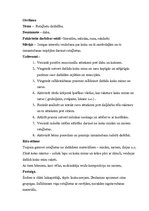 Prakses atskaite 'Kvalifikācijas prakse pirmsskolas izglītības iestādē', 16.