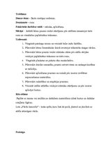 Prakses atskaite 'Kvalifikācijas prakse pirmsskolas izglītības iestādē', 18.